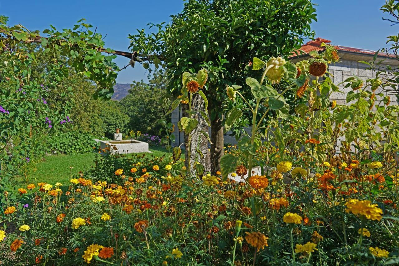 Casa Do Vale Guest House ฟาฟี ภายนอก รูปภาพ