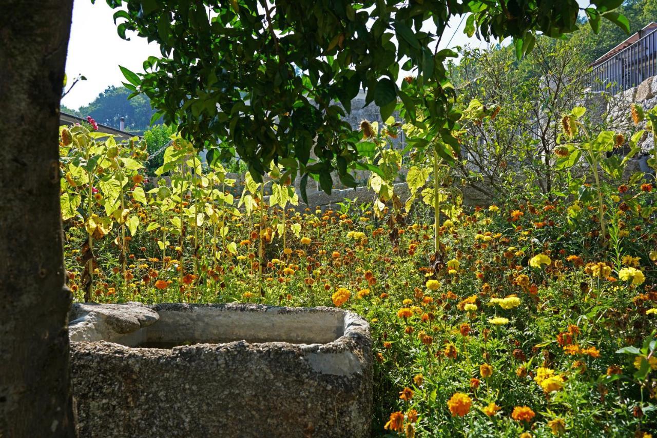 Casa Do Vale Guest House ฟาฟี ภายนอก รูปภาพ